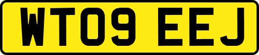 WT09EEJ