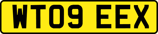 WT09EEX