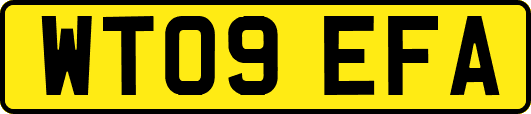 WT09EFA