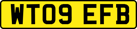 WT09EFB
