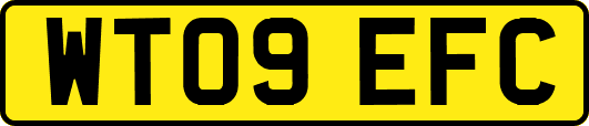 WT09EFC