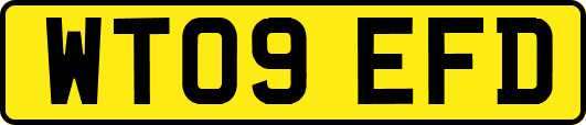WT09EFD