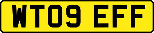WT09EFF