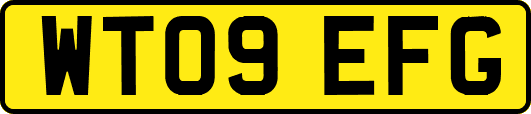 WT09EFG