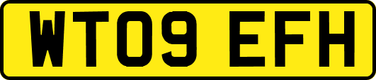 WT09EFH