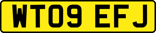 WT09EFJ