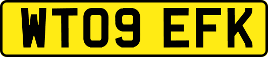 WT09EFK