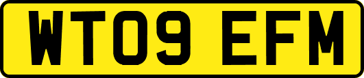 WT09EFM