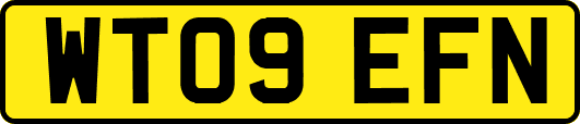 WT09EFN