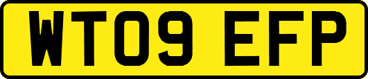 WT09EFP