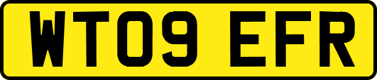 WT09EFR