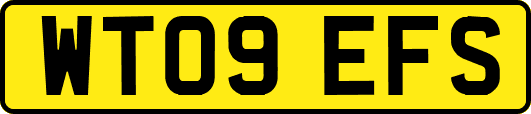 WT09EFS
