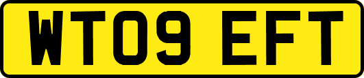 WT09EFT