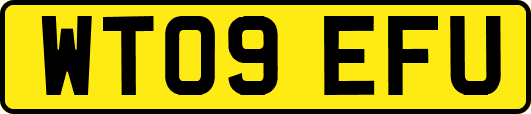 WT09EFU
