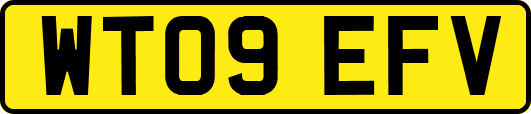WT09EFV