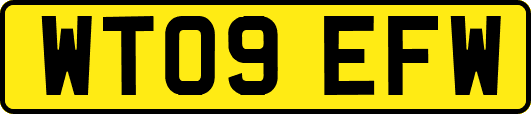 WT09EFW