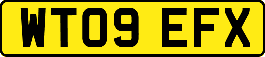 WT09EFX