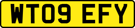 WT09EFY