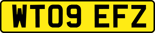 WT09EFZ
