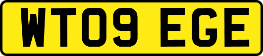 WT09EGE