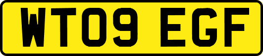 WT09EGF