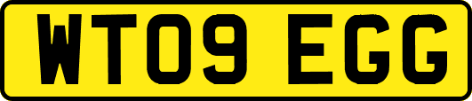 WT09EGG