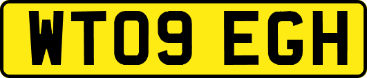 WT09EGH