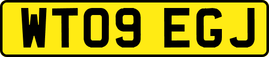 WT09EGJ
