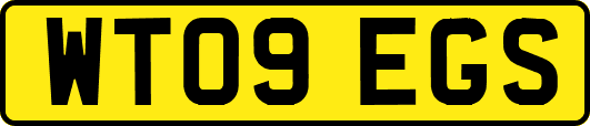 WT09EGS