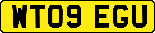 WT09EGU