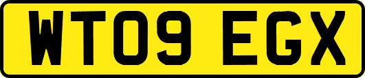 WT09EGX