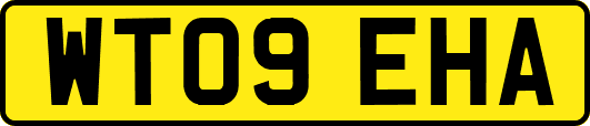 WT09EHA