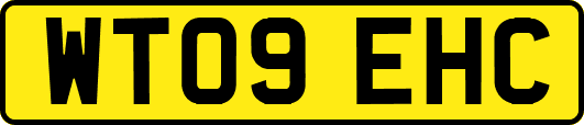 WT09EHC
