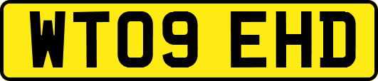 WT09EHD