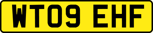 WT09EHF