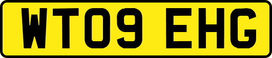 WT09EHG