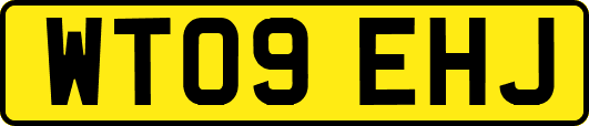 WT09EHJ