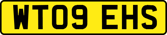 WT09EHS