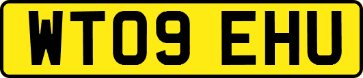 WT09EHU