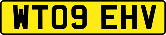 WT09EHV