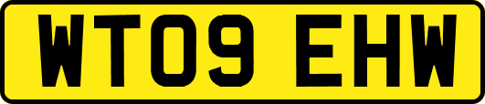 WT09EHW