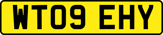 WT09EHY