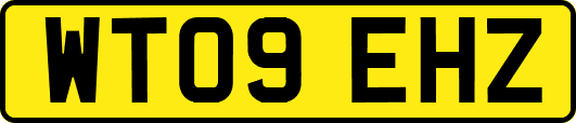 WT09EHZ
