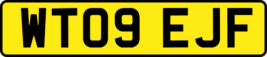 WT09EJF