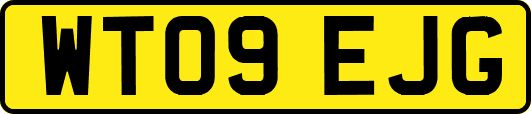 WT09EJG