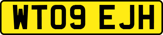 WT09EJH
