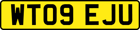 WT09EJU