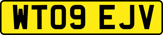 WT09EJV