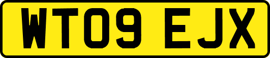 WT09EJX
