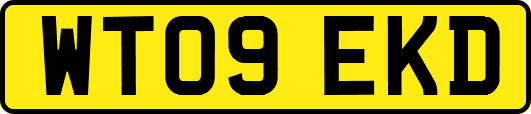 WT09EKD